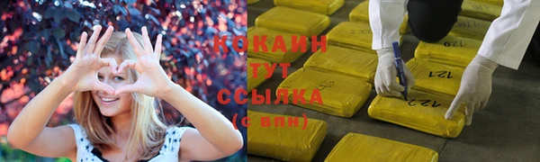 стаф Осташков