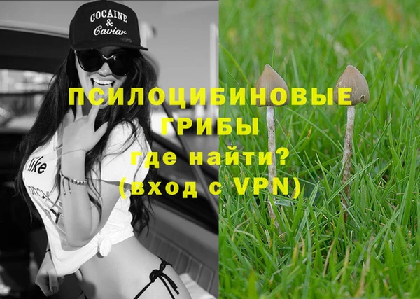 стаф Осташков