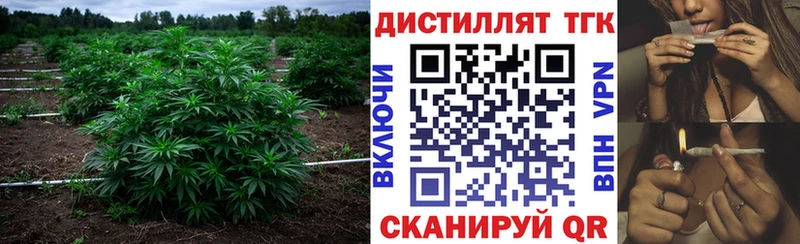 дарнет шоп  Бирюч  mega   Дистиллят ТГК вейп 