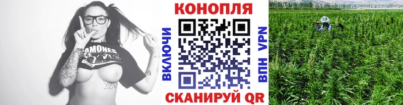 mega ССЫЛКА Бирюч Каннабис AK-47
